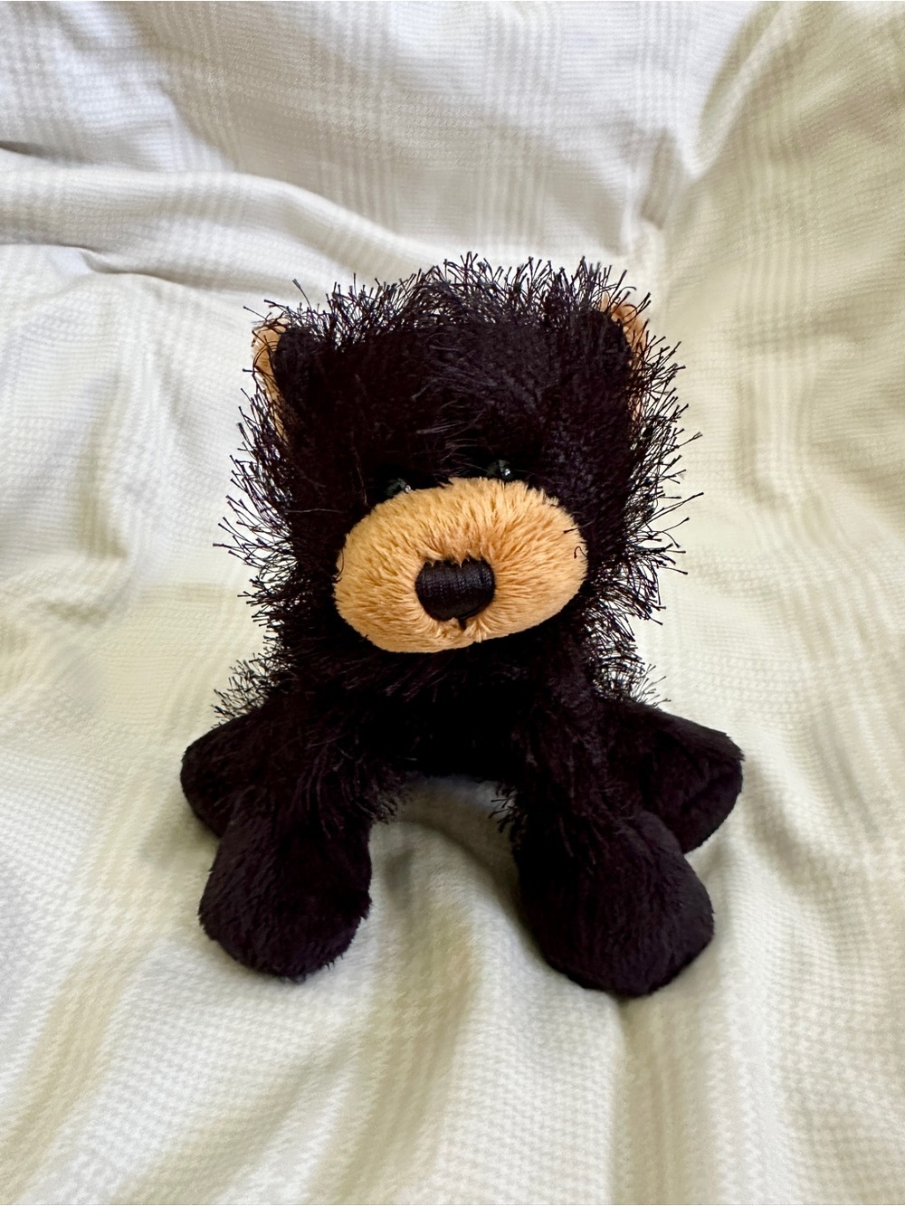 Ganz Webkinz Black Bear Plush Toy (HM004)